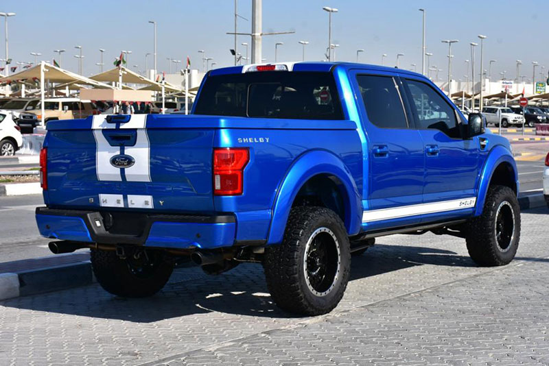 Ford Shelby F150 - Vente - Arrière