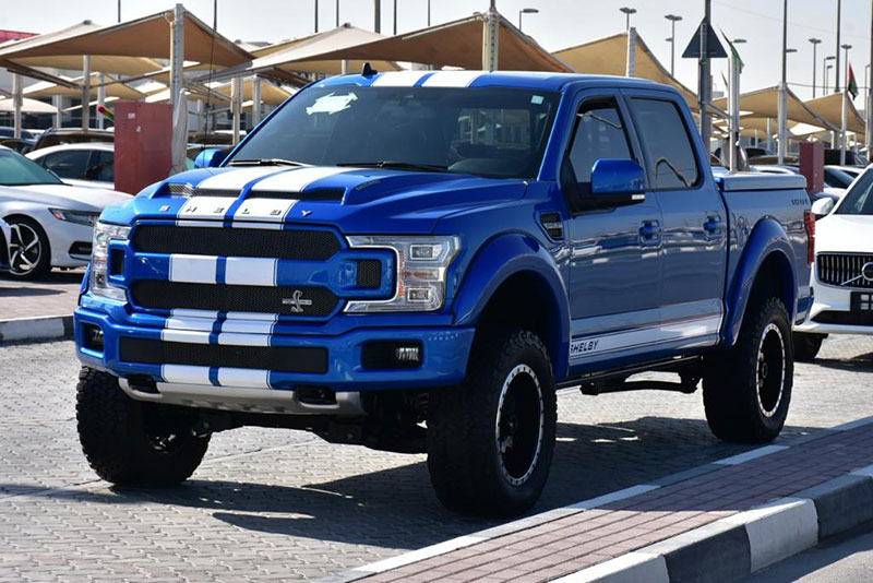Ford Shelby F150 - Import export