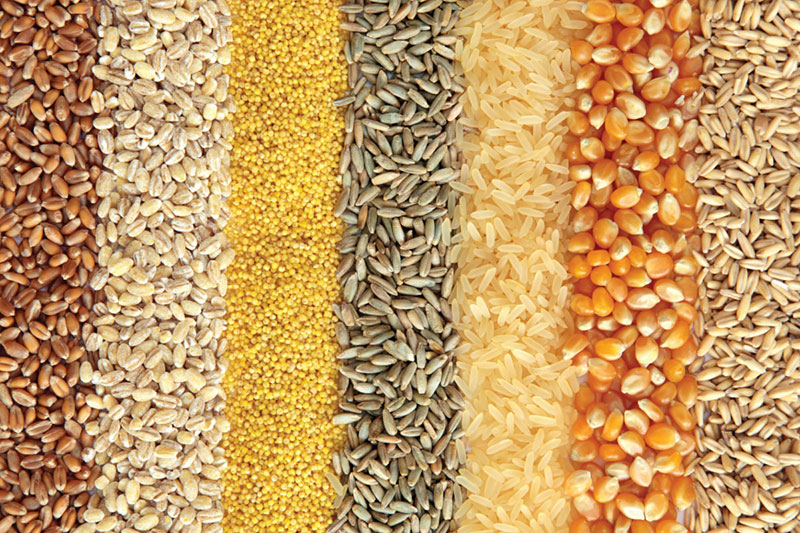 Commodities - matière première agroalimentaire